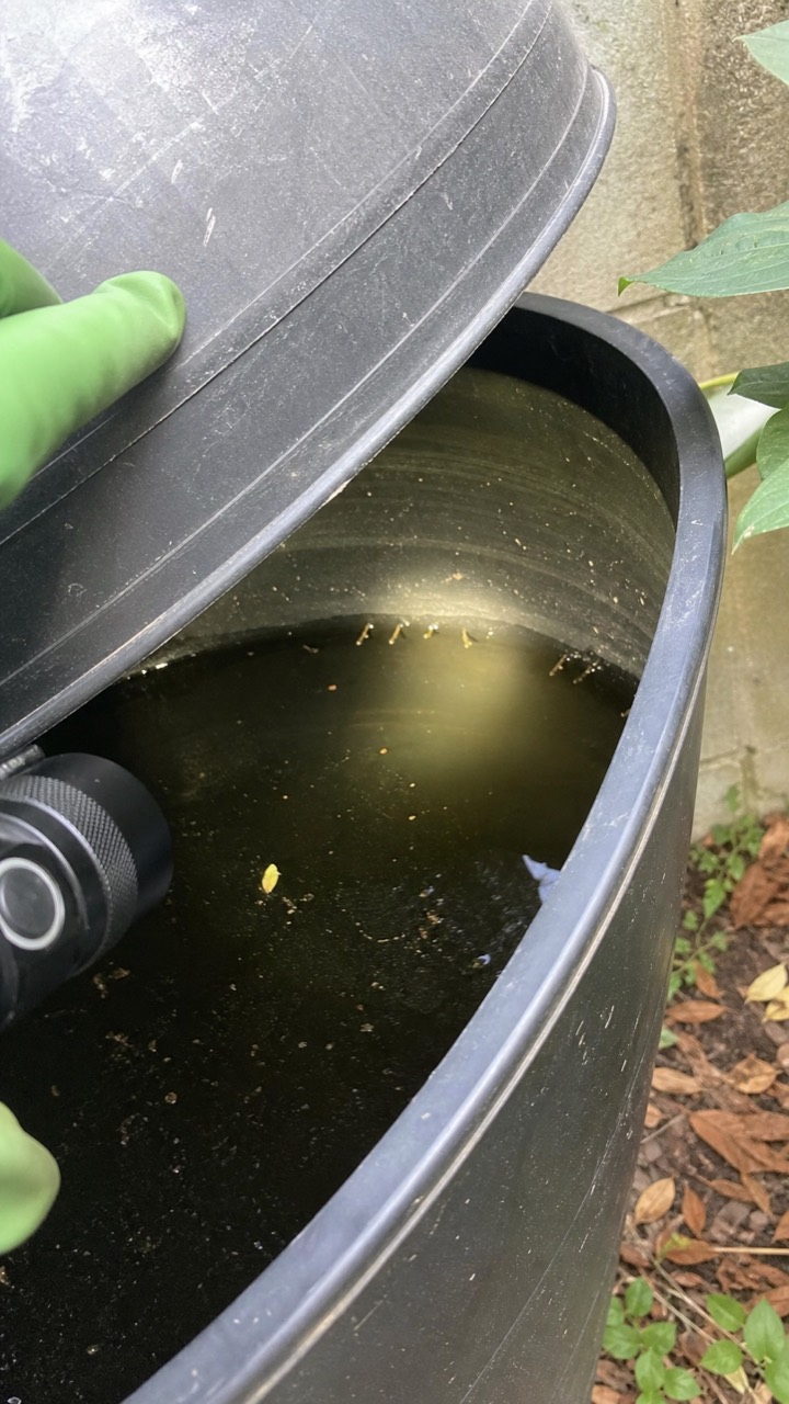Contrôle d’un récupérateur d’eau pouvant favoriser les moustiques, visuel AnimalProTech aux Andelys