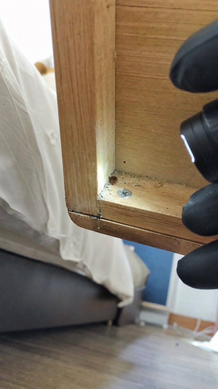 Inspection d’une table de chevet pour rechercher des punaises de lit, visuel AnimalProTech à Mantes-la-Jolie